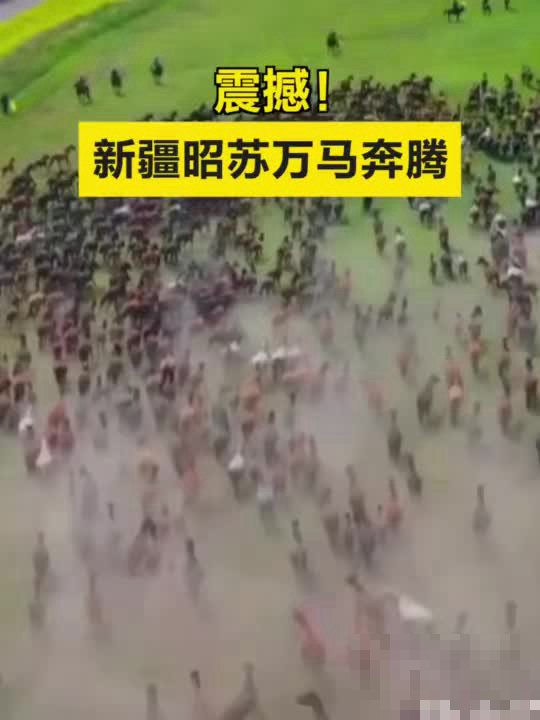 昭苏县万马奔腾演出时间