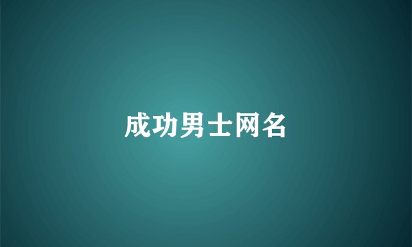 成功男士网名