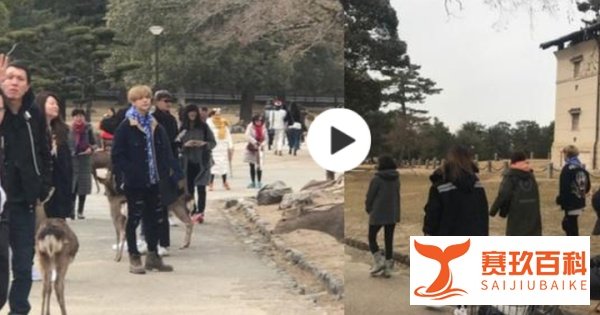 鹿晗关晓彤陈赫夫妇同游日本 抽烟被逮到 网友不高兴了