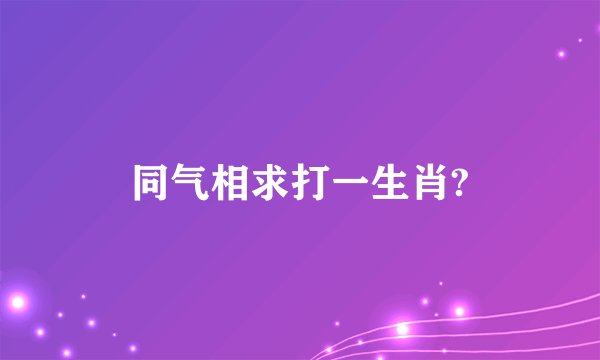 同气相求打一生肖?