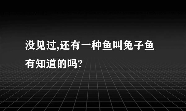 没见过,还有一种鱼叫兔子鱼有知道的吗?