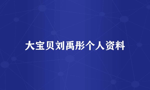 大宝贝刘禹彤个人资料