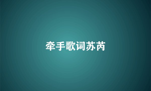 牵手歌词苏芮