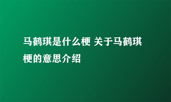 马鹤琪是什么梗 关于马鹤琪梗的意思介绍
