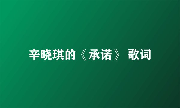 辛晓琪的《承诺》 歌词