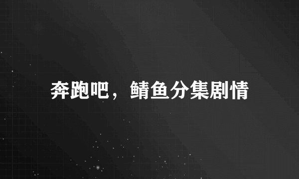 奔跑吧，鲭鱼分集剧情