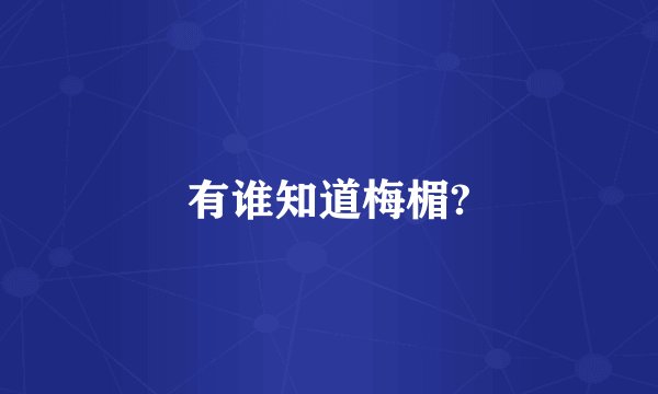 有谁知道梅楣?