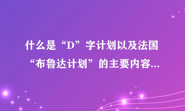 什么是“D”字计划以及法国“布鲁达计划”的主要内容是什么？
