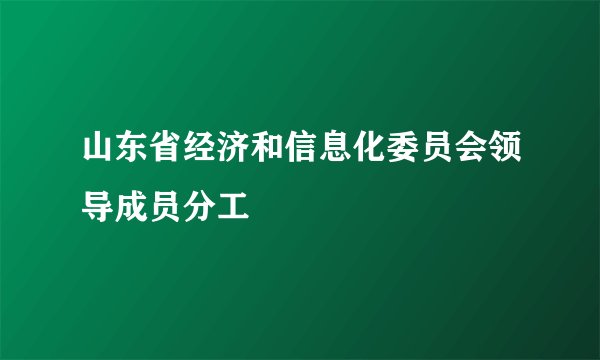 山东省经济和信息化委员会领导成员分工