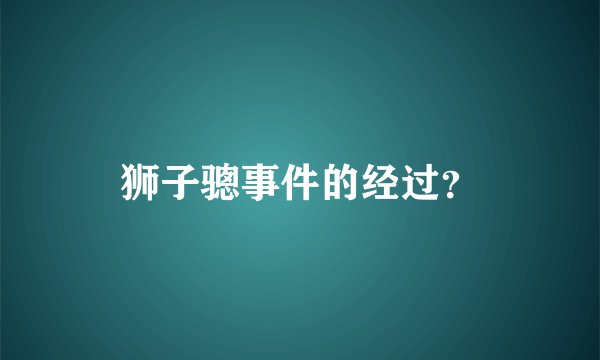 狮子骢事件的经过？