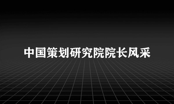中国策划研究院院长风采