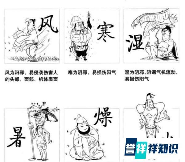 “万能神药