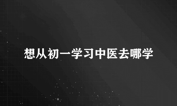 想从初一学习中医去哪学