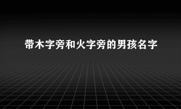 带木字旁和火字旁的男孩名字