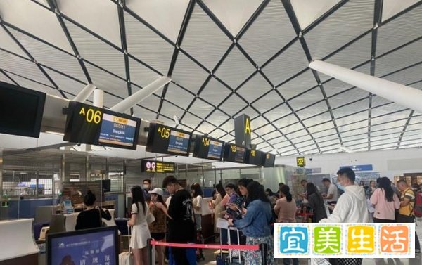 五一机票为何大跳水？揭秘背后真相