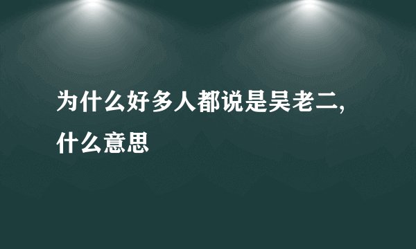 为什么好多人都说是吴老二,什么意思