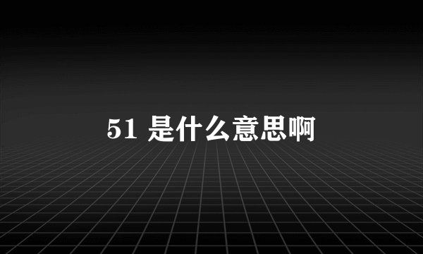 51 是什么意思啊