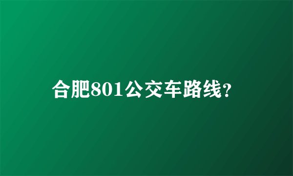 合肥801公交车路线？