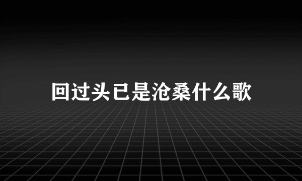 回过头已是沧桑什么歌