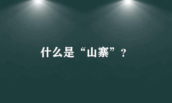 什么是“山寨”？