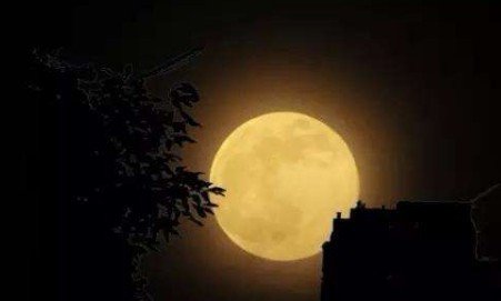 《上元夜》的原文是什么？