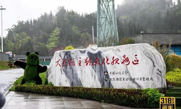 关于318国道你知道多少呢？