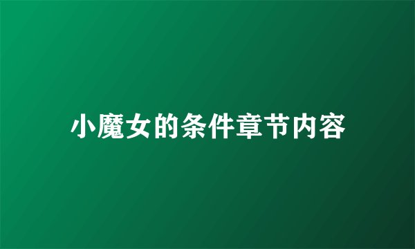小魔女的条件章节内容