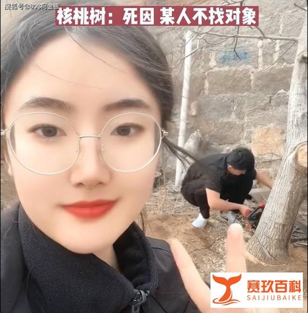 女子算命核桃树挡姻缘家人将树砍掉 这是咋情况?