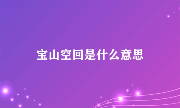 宝山空回是什么意思