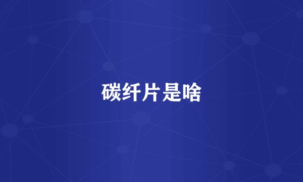 碳纤片是啥