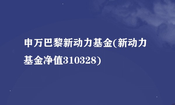 申万巴黎新动力基金(新动力基金净值310328)