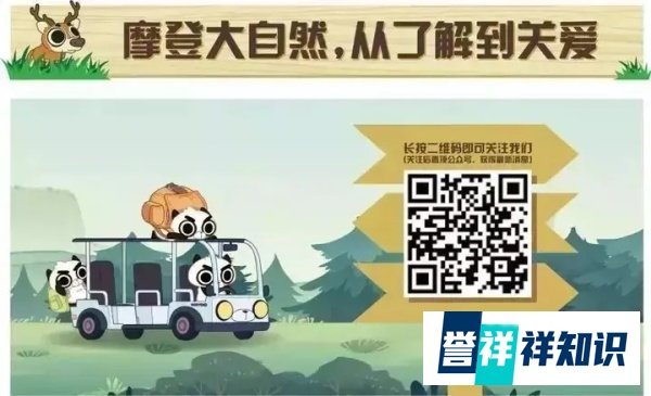 另类网红“蛙儿子”——大足短头蛙