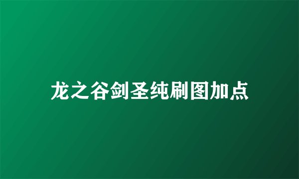 龙之谷剑圣纯刷图加点