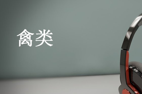 禽类是什么意思