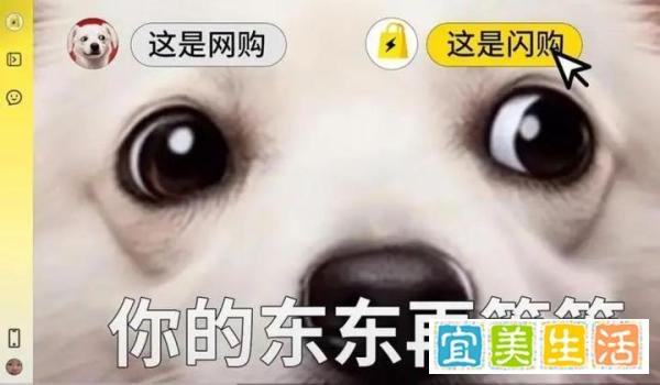 内部讲话曝光！刘强东声称京东外卖利润率不高过 5%，是假道德还是真商战？