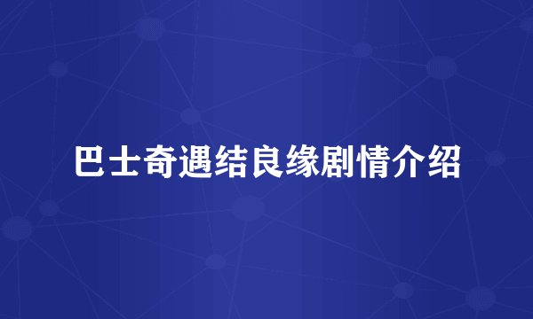 巴士奇遇结良缘剧情介绍