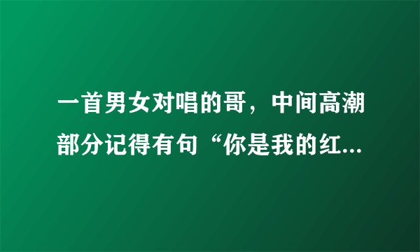 一首男女对唱的哥，中间高潮部分记得有句“你是我的红颜知己”之类的