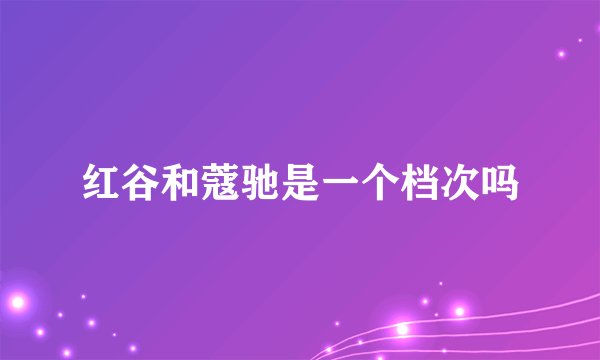 红谷和蔻驰是一个档次吗