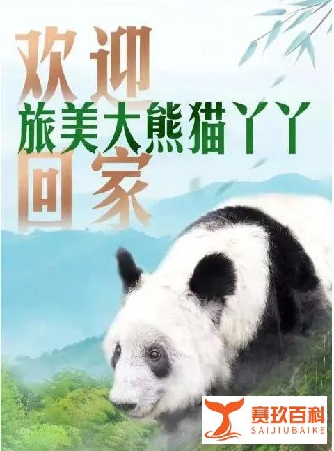 还是家好，丫丫终于回国了