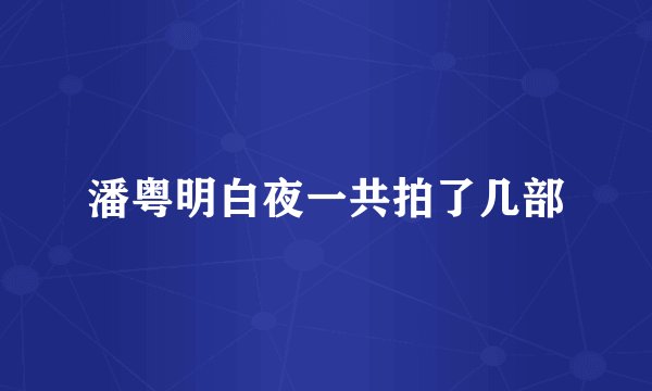 潘粤明白夜一共拍了几部