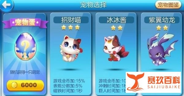 天天酷跑宠物大全/PVP最新版本
