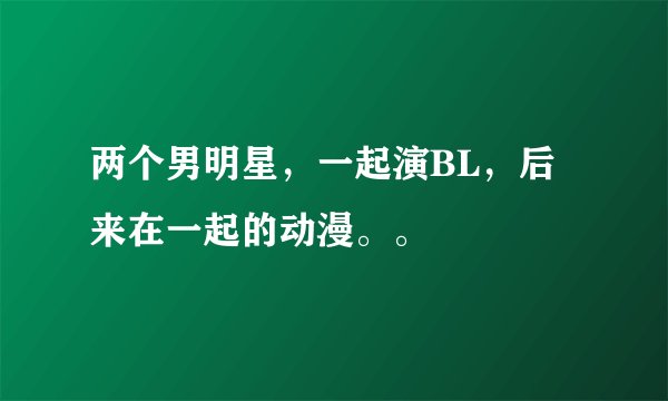 两个男明星，一起演BL，后来在一起的动漫。。