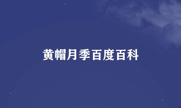 黄帽月季百度百科