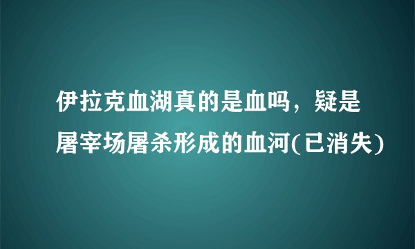 伊拉克血湖真的是血吗，疑是屠宰场屠杀形成的血河(已消失)