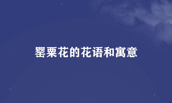 罂粟花的花语和寓意