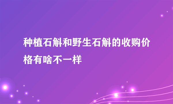 种植石斛和野生石斛的收购价格有啥不一样