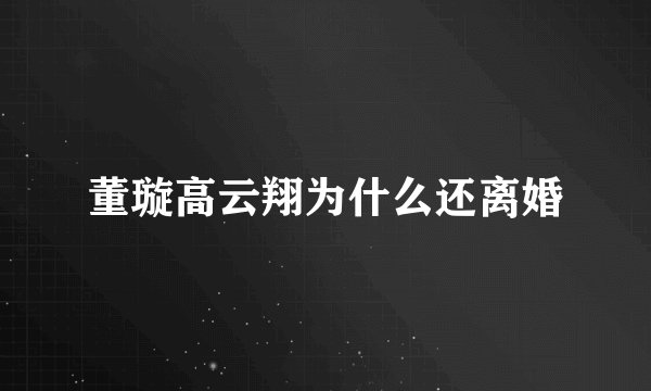 董璇高云翔为什么还离婚