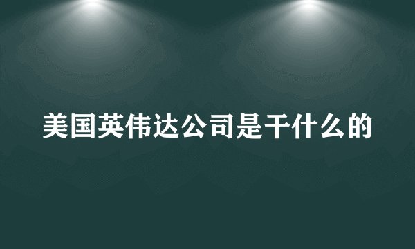 美国英伟达公司是干什么的