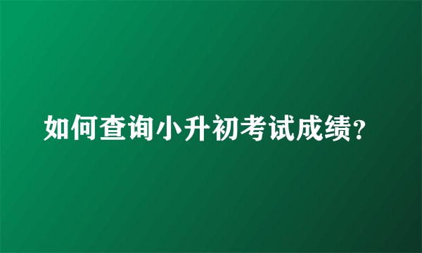 如何查询小升初考试成绩？