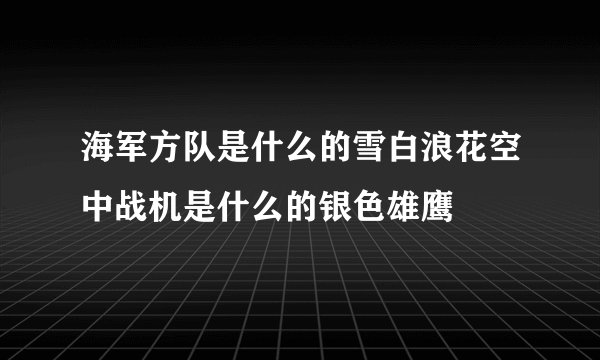 海军方队是什么的雪白浪花空中战机是什么的银色雄鹰